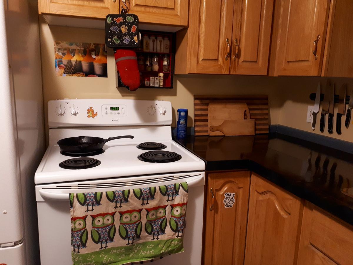 Bert Bark Inn HostelSaint Andrews エクステリア 写真